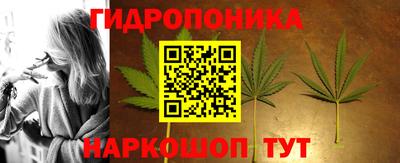 ECSTASY Гай