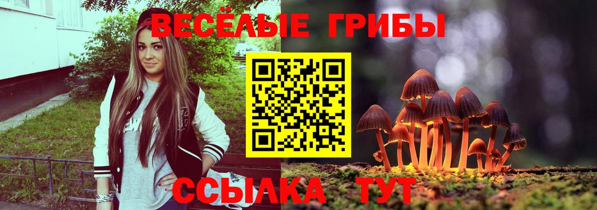 Гашиш Лабинск