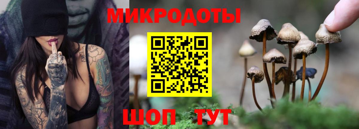 Галлюциногенные грибы мухоморы  как найти   Лабинск  Вход с VPN 